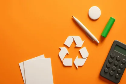 Previous Article Image