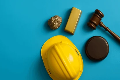 Previous Article Image