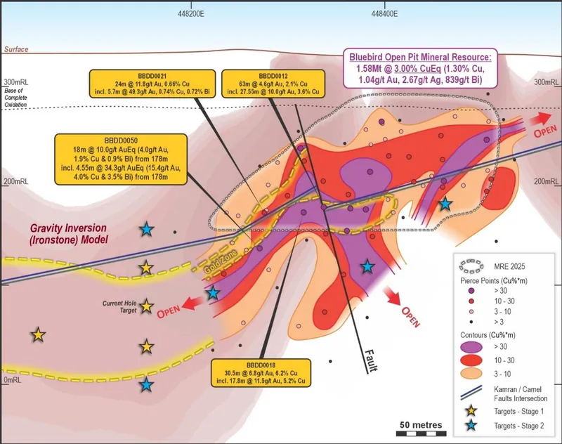 Bluebird Longitudinal showing %Cu x true-width contours on gravity inversion with priority drilling targets