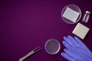 PolyNovo Finalises Clinical Report and Revises US PMA Submission to Late 2026 Following FDA Guidance Update