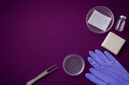 PolyNovo Finalises Clinical Report and Revises US PMA Submission to Late 2026 Following FDA Guidance Update