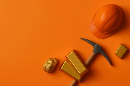 Previous Article Image