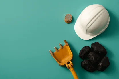 Previous Article Image