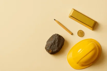 Previous Article Image