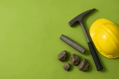 Previous Article Image