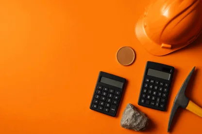 Previous Article Image