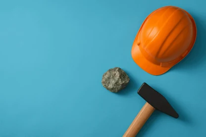 Previous Article Image