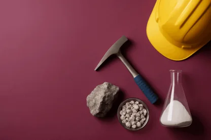 Previous Article Image