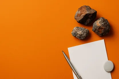 Previous Article Image