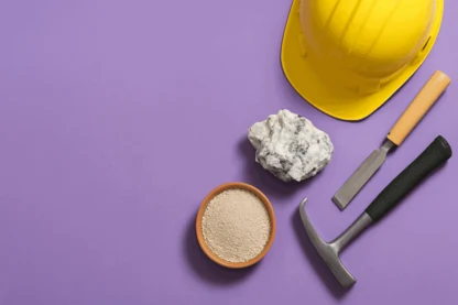 Previous Article Image