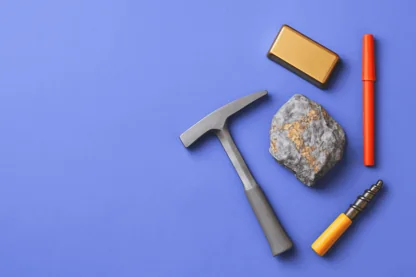 Previous Article Image