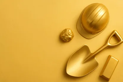 Previous Article Image