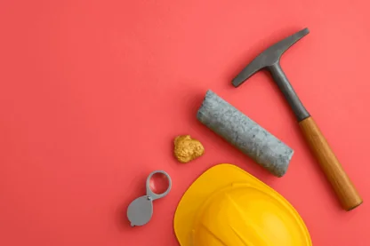 Previous Article Image