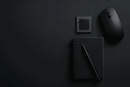 Previous Article Image