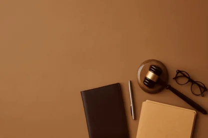 Previous Article Image