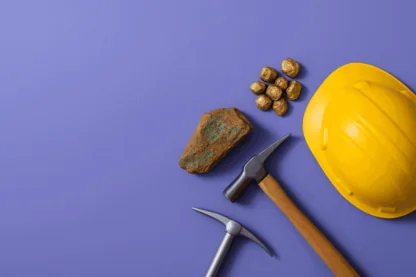 Previous Article Image