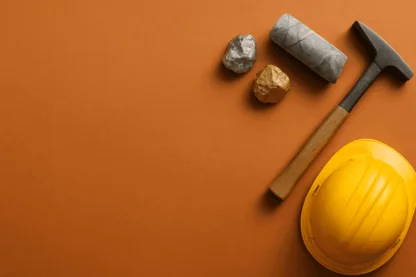 Previous Article Image