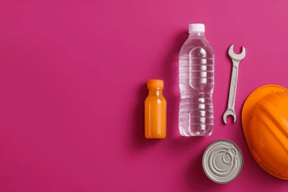 Previous Article Image