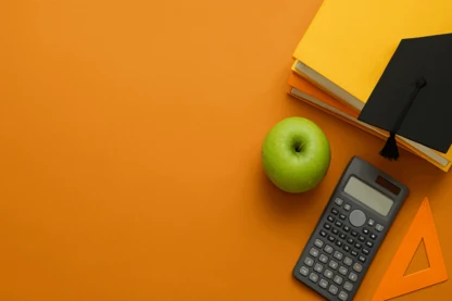 Previous Article Image