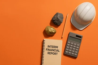 Previous Article Image