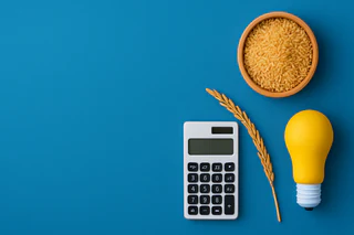 SunRice Advances 2030 Growth Strategy Amid FY25 Profit Rise and Revenue Dip