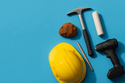 Previous Article Image