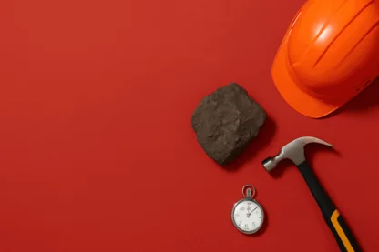 Previous Article Image