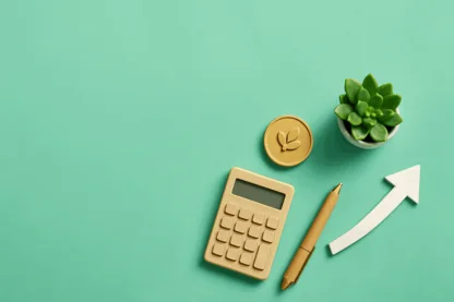 Previous Article Image