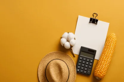 Previous Article Image