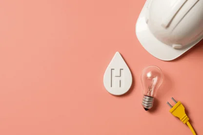 Previous Article Image