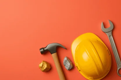 Previous Article Image