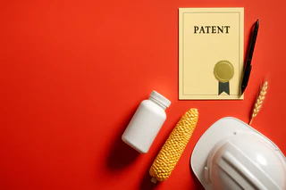 Terragen Secures US Patent, Paving Way for Major Market Expansion