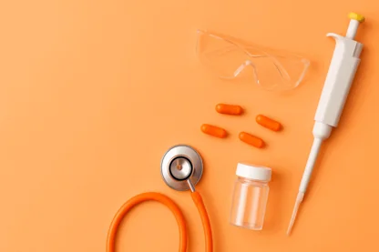 Previous Article Image