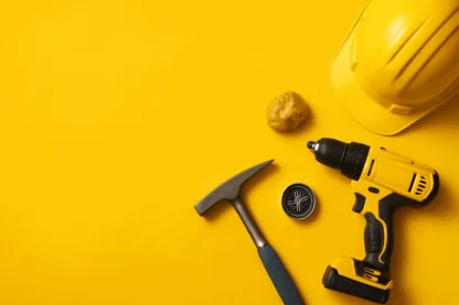 Previous Article Image