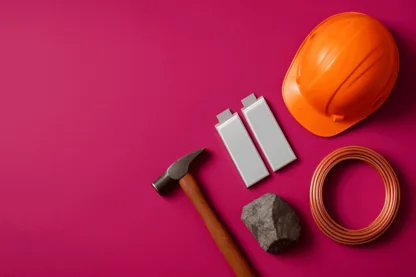 Previous Article Image