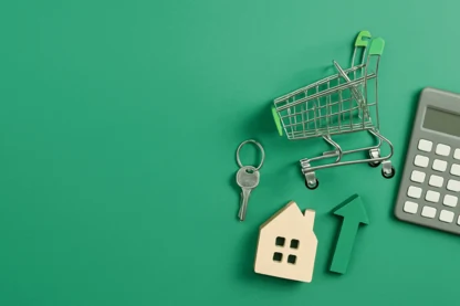 Previous Article Image