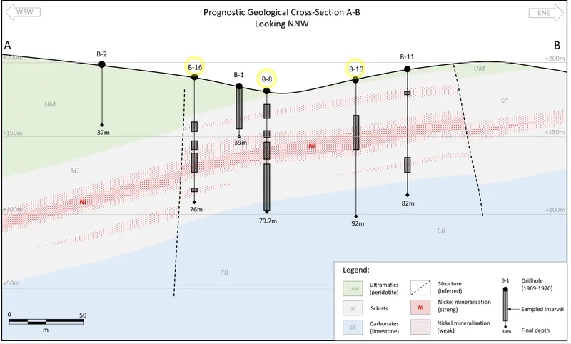 Petrovo cross-section showing historical drill holes with interpreted geology