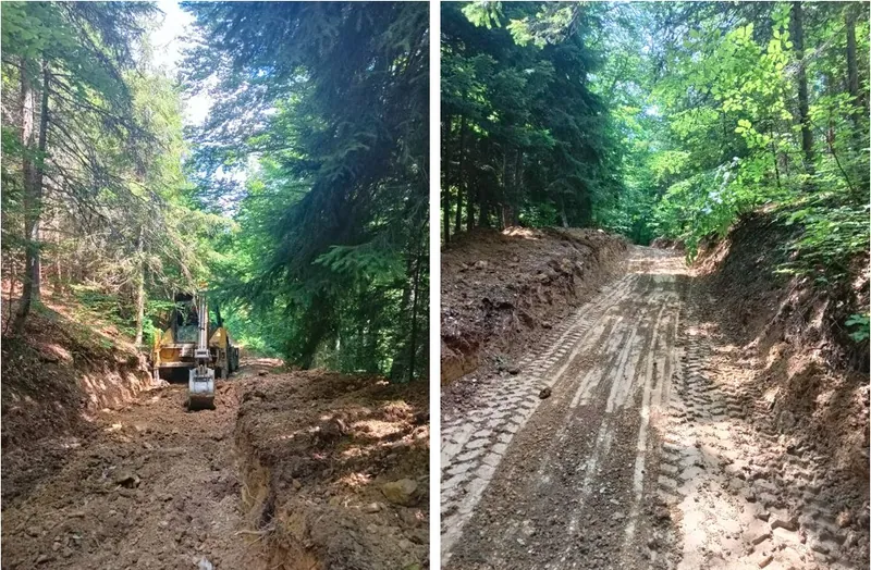 Monte Project, Pisonica Ag-Pb-Zn Prospect, photos of forest track repairs for drill site access