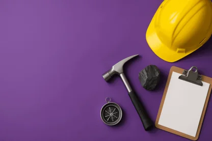 Previous Article Image