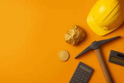 Previous Article Image