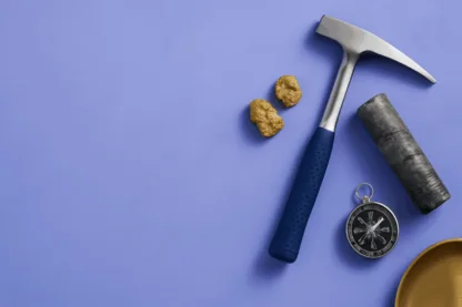 Previous Article Image