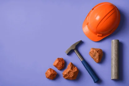 Previous Article Image