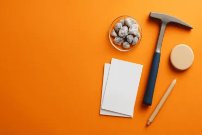 Previous Article Image