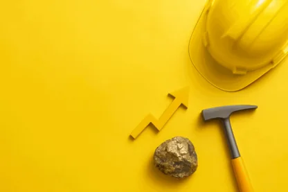 Previous Article Image