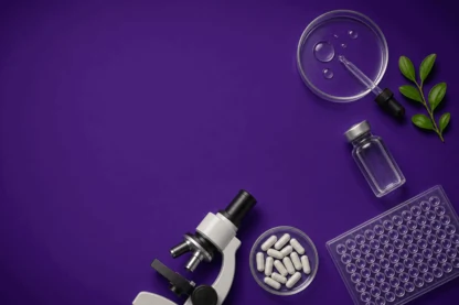 Previous Article Image