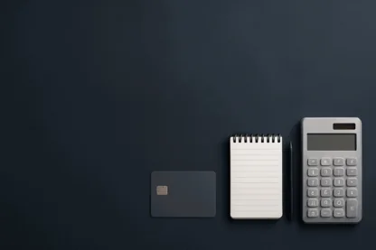 Previous Article Image