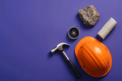 Previous Article Image