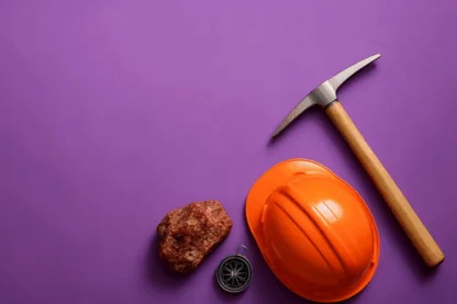 Previous Article Image