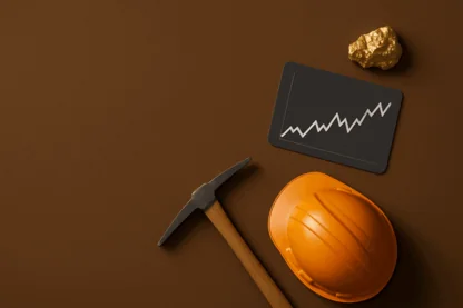 Previous Article Image