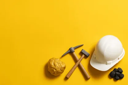 Previous Article Image